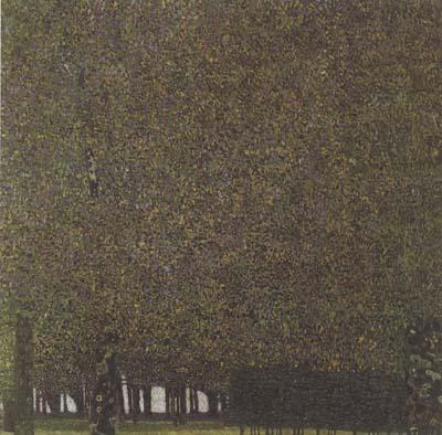 Gustav Klimt The Park (mk20)